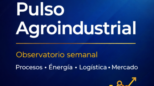 SEMANA 15 | 04 DE ABRIL DE 2026